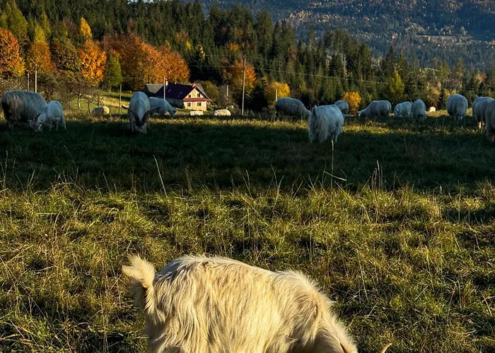 Fabryka Snow Loft W Sercu Beskidow Prázdninový dům *