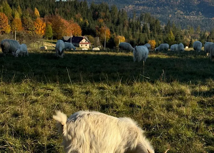 Fabryka Snow Loft W Sercu Beskidow Prázdninový dům Istebna